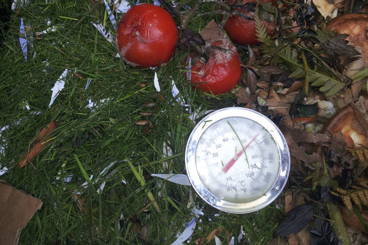 Can I Compost Grass?