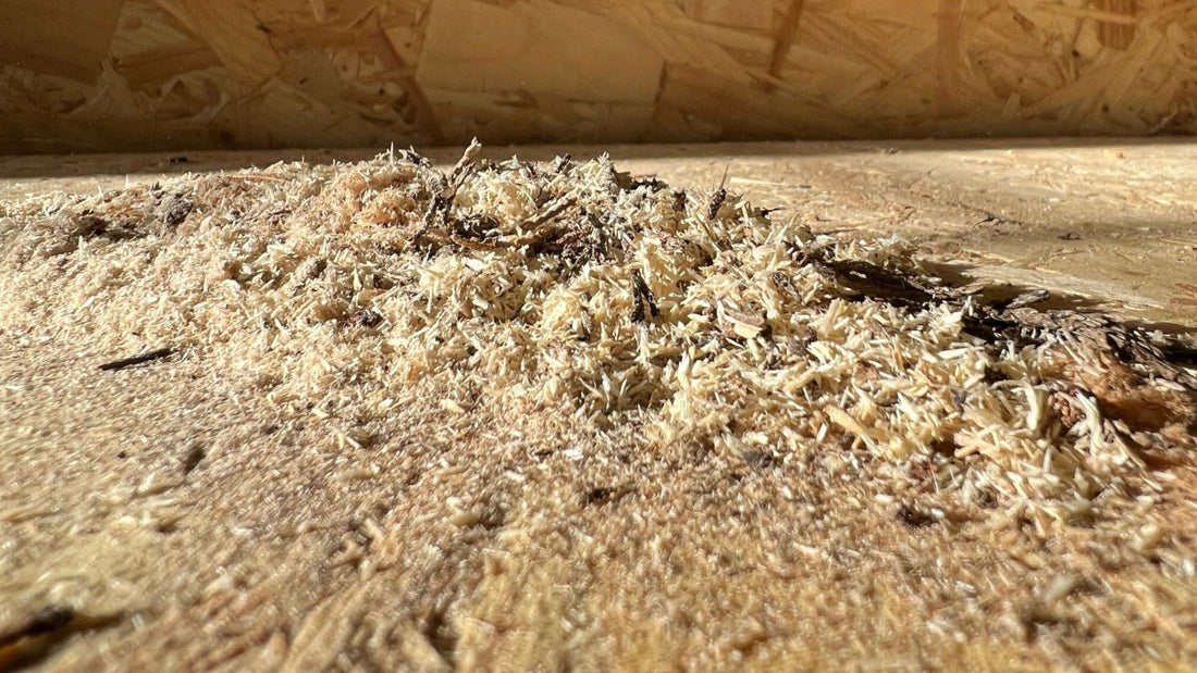 Can I Compost Wood, Paper and Cardboard?