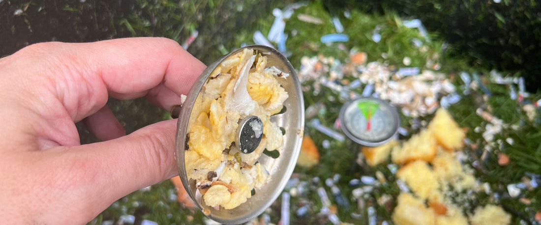 Minimise Waste and Maximise Compost Production