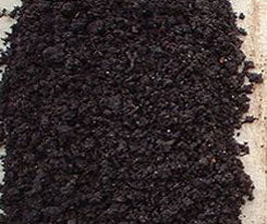 Vermicompost